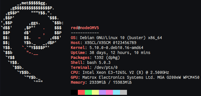 Neofetch: Debian Server